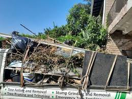  Old Fig Garden, CA Junk Removal Services Pros